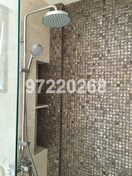 La Fiesta (D19), Condominium #126841412